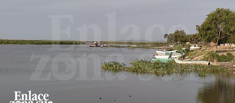 Claman pescadores desazolve del Tamesí