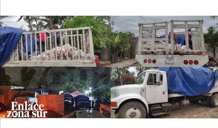 VIOLA PAN VEDA ELECTORAL EN ALTAMIRA