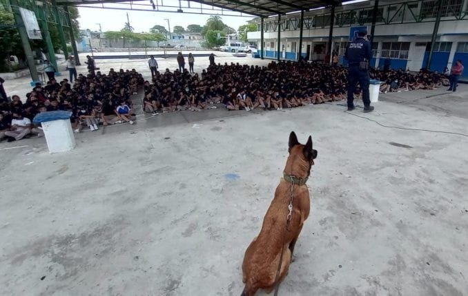 Binomio canino de la Guardia Estatal visita secundaria en Tampico