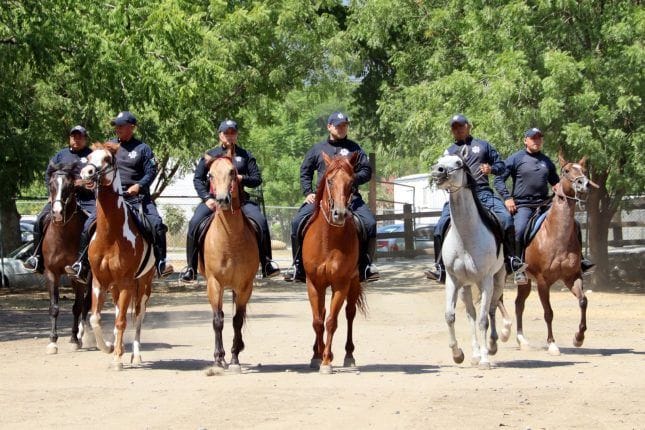 Jinetes de la Guardia Estatal preservan seguridad en áreas rurales y naturales