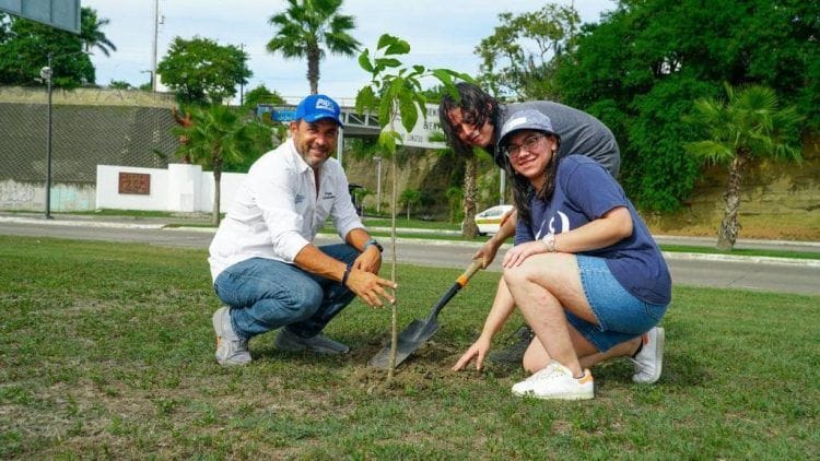 Continúa Pepe Scheckaibán reforestando espacios públicos y áreas verdes en Tampico