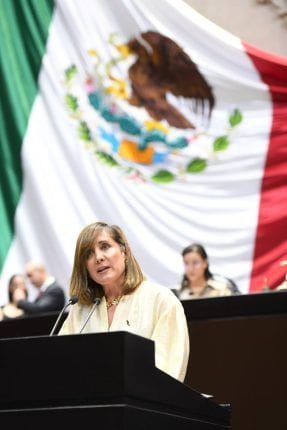 Tema Migratorio en México Debe ser Prioridad en Materia de Política Exterior: Rosa González