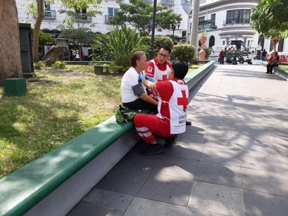 Hoja de palma caesobreadulto mayor y la lesiona