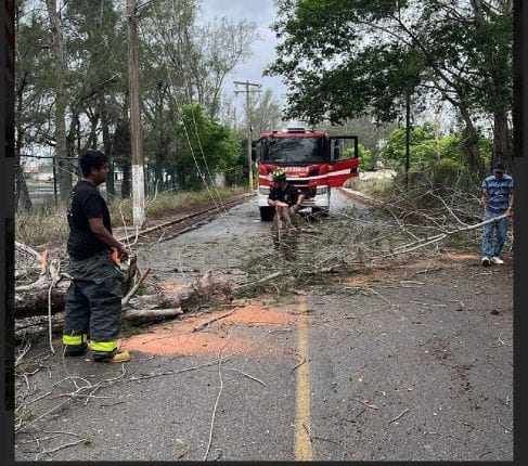 Ciudad Madero Sin afectaciones mayores por Tormenta Tropical “Alberto”